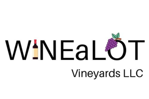 Winealot live bands green bay events weddings green bay, wi acoustic endorphins